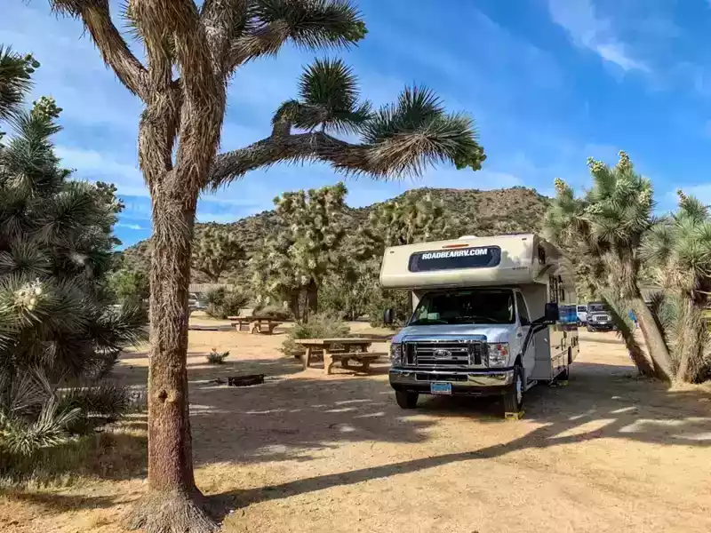 rv in joshua tree national park campground