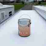 dicor rv roof coating