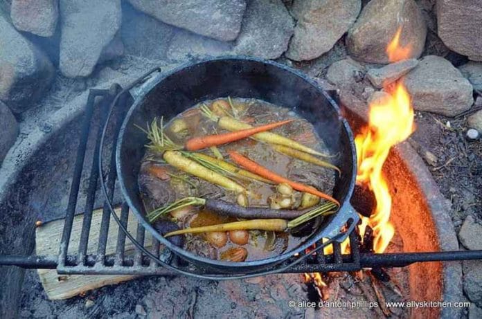 Campfire beef stew