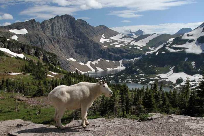 best time to visit glacier national park 800 X 533 best time to visit glacier national park