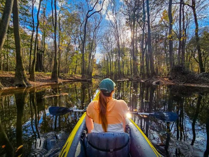 congaree national park
