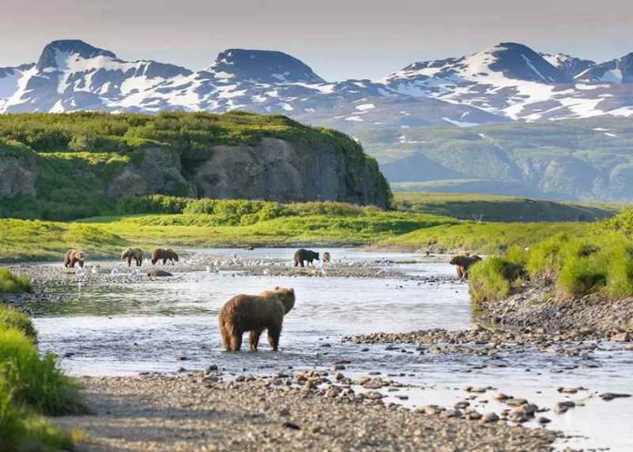 katmai national park and preserve