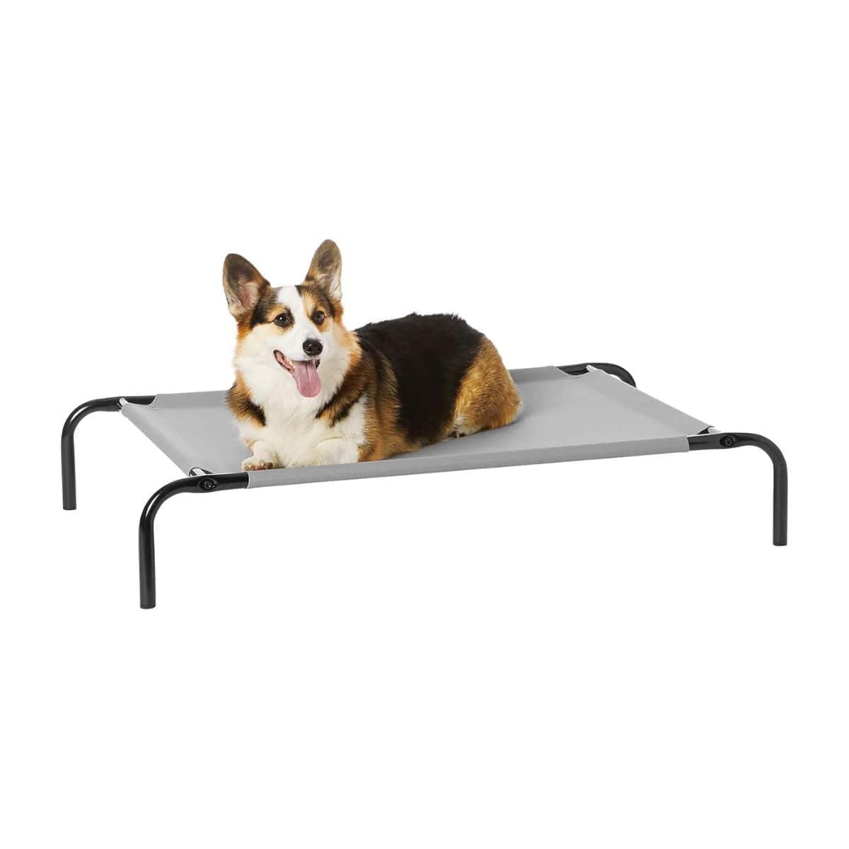 Camp Comfort Gear Essentials - Family And Pet Comfort Gear – Recommended Gear &Amp; Resources (Chapter 10) 17 amazon basics elevated cooling pet bed