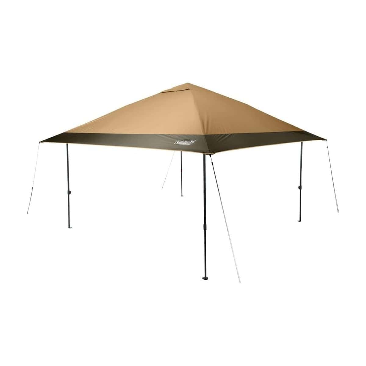 Camp Comfort Gear Essentials - Family And Pet Comfort Gear – Recommended Gear &Amp; Resources (Chapter 10) 12 coleman instant canopy