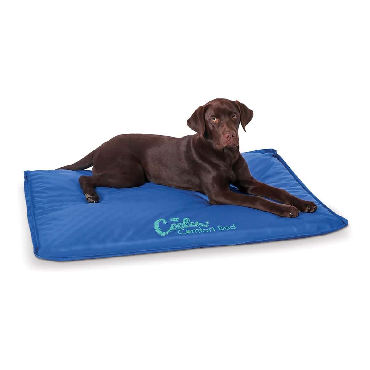 Camp Comfort Gear Essentials - Family And Pet Comfort Gear – Recommended Gear &Amp; Resources (Chapter 10) 26 kh pet products coolin comfort pad
