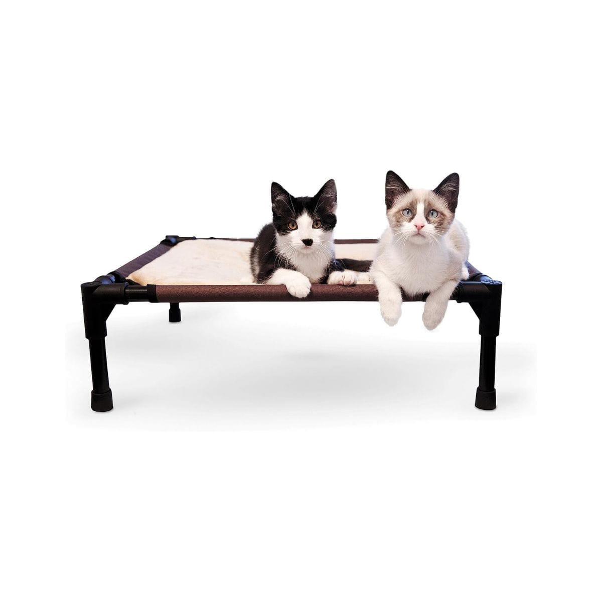Camp Comfort Gear Essentials - Family And Pet Comfort Gear – Recommended Gear &Amp; Resources (Chapter 10) 15 kh pet products elevated pet cot